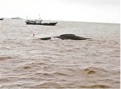 江苏渔船相撞伤亡情况?
