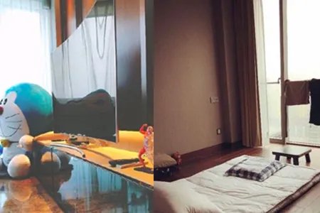 郑爽新房照片曝光 还没装修文艺范十足