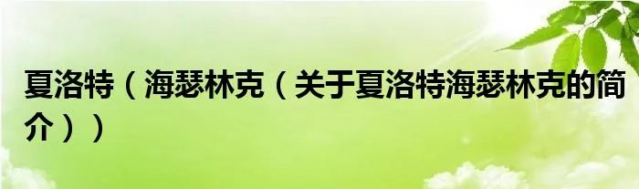 夏洛特（海瑟林克（关于夏洛特海瑟林克的简介））
