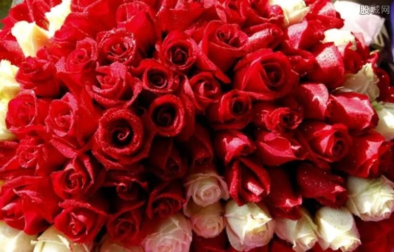 男子用水晶鞋求婚 童话故事在现实生活中上演