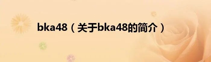 bka48（关于bka48的简介）