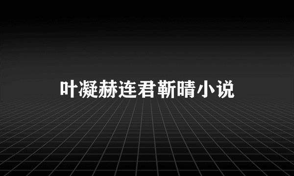 叶凝赫连君靳晴小说