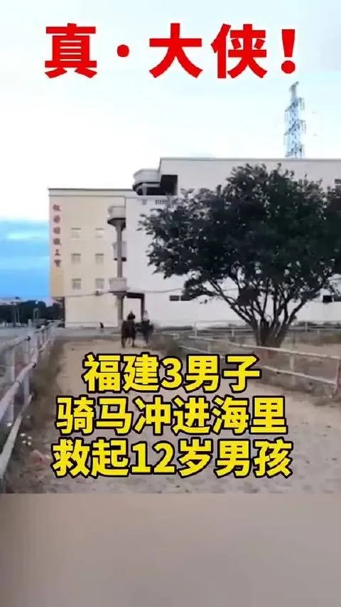 福建三男子骑马冲入海中救下男孩，为何网友直呼大侠转世？