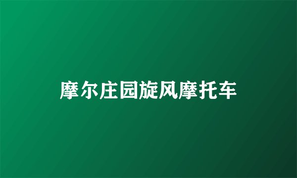 摩尔庄园旋风摩托车