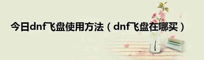 今日dnf飞盘使用方法（dnf飞盘在哪买）