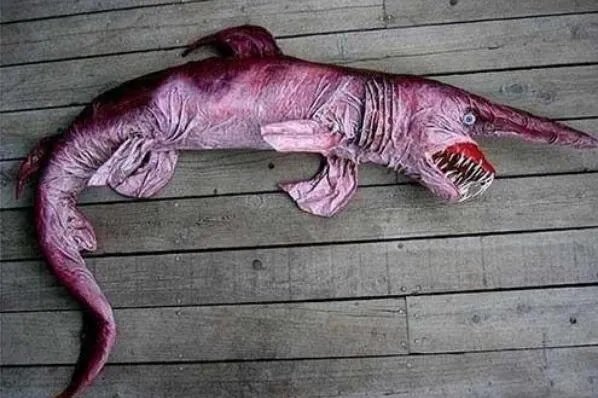 世界十大丑陋动物排行榜 眼镜猴上榜，第六被很多人称为“怪物”