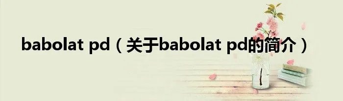 babolat pd（关于babolat pd的简介）