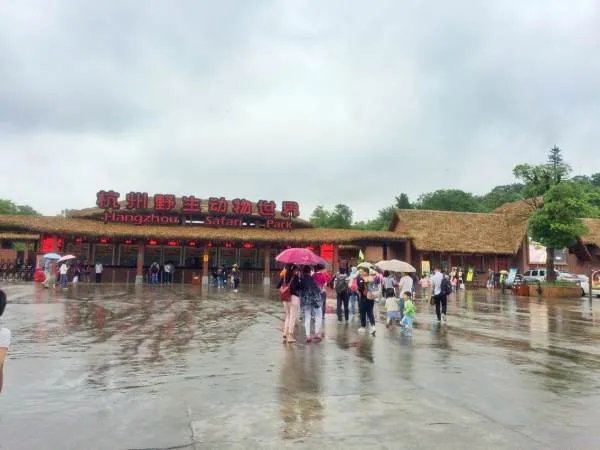 杭州野生动物园重开,游客还会买账吗?