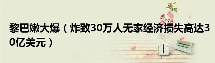 黎巴嫩大爆(炸致30万人无家经济损失高达30亿美元)