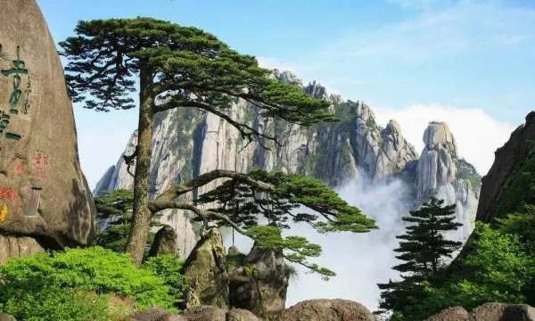 黄山爬到一半想回家，背后的真正原因是什么？