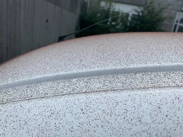 瑞士小镇下起巧克力雨,这是什么原因?