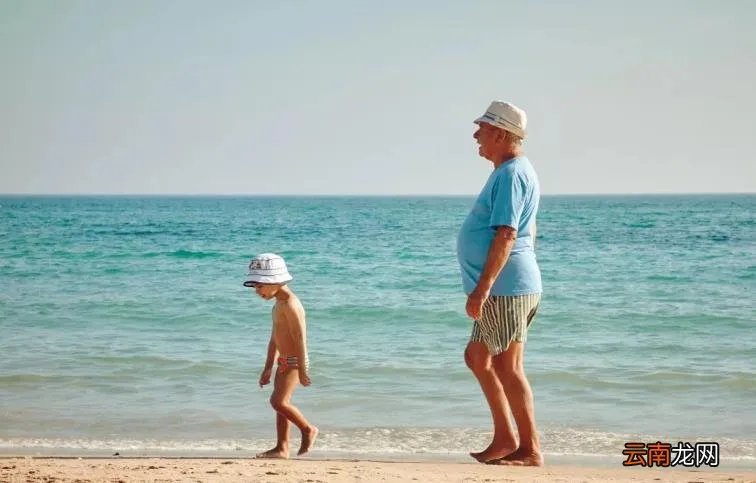 DAD是什么意思中文 dad是什么意思中文是什么意思啊