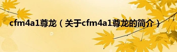 cfm4a1尊龙（关于cfm4a1尊龙的简介）