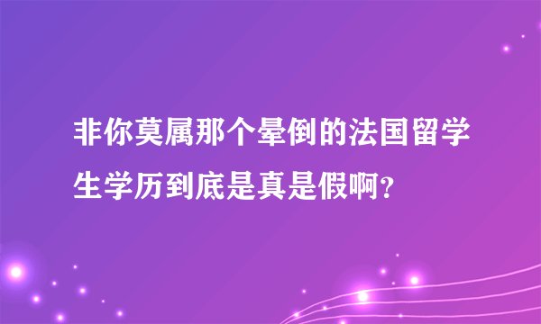 非你莫属那个晕倒的法国留学生学历到底是真是假啊？