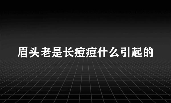 眉头老是长痘痘什么引起的