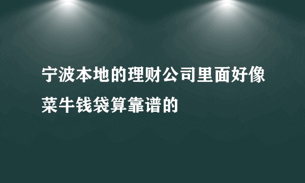 宁波本地的理财公司里面好像菜牛钱袋算靠谱的