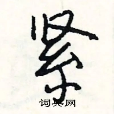 紧组词_紧字怎么组词_紧组词有哪些_带紧字的词语