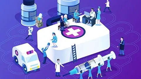 铁树果的功效与作用