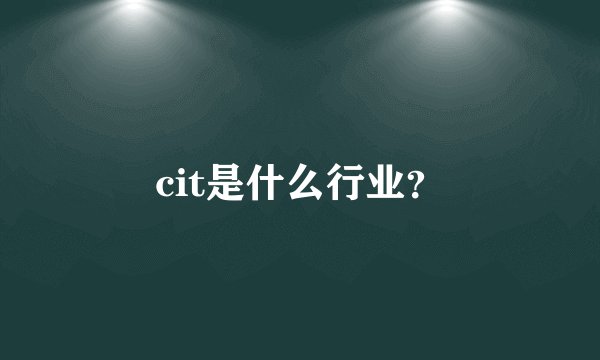 cit是什么行业？