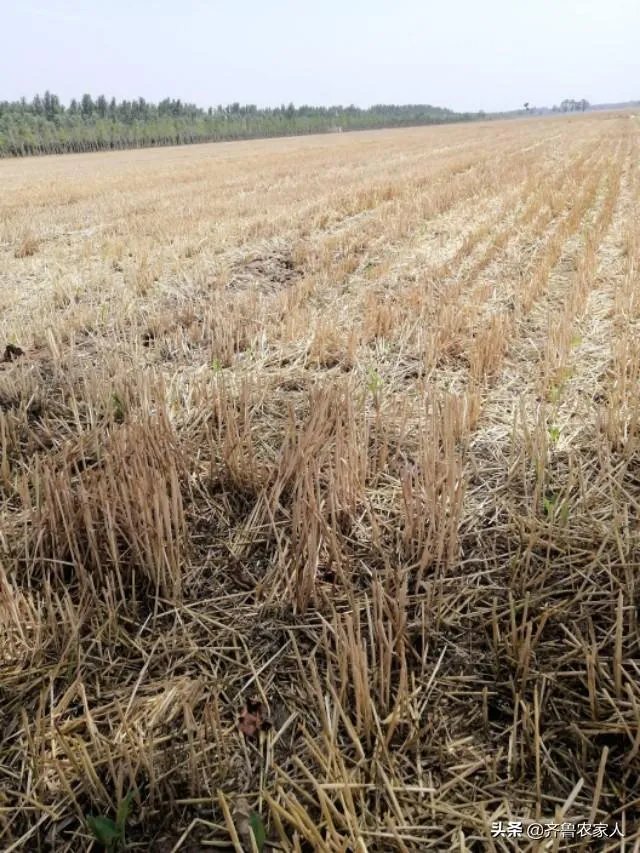 今天全国项城天气查询