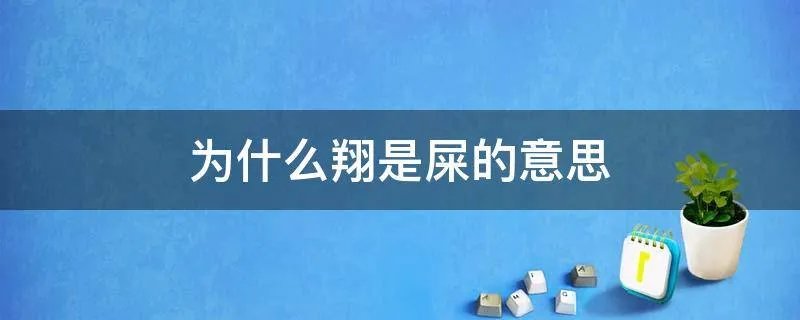 为什么翔是屎的意思