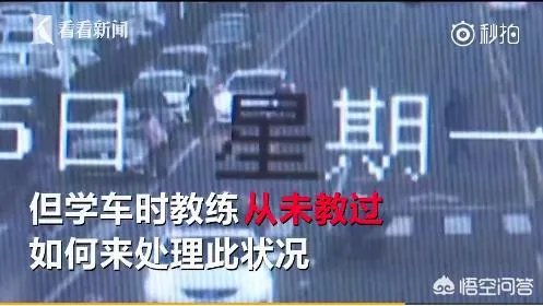 如何看待常州一新手女司机雾天撞倒孕妇逃逸，竟称“学车时没教过”？