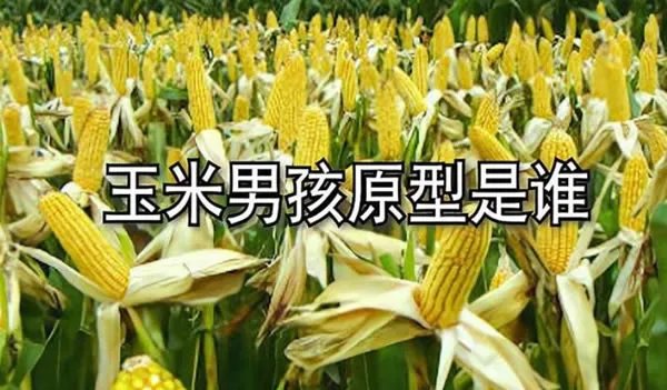 玉米男孩原型是谁 玉米男孩图片及案例描述