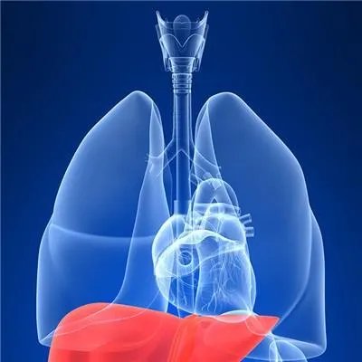 乙肝核心抗体是什么意思