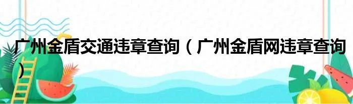 广州金盾交通违章查询（广州金盾网违章查询）