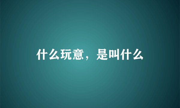 什么玩意，是叫什么