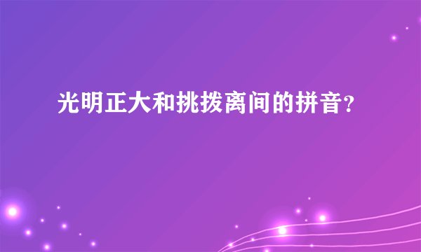 光明正大和挑拨离间的拼音？