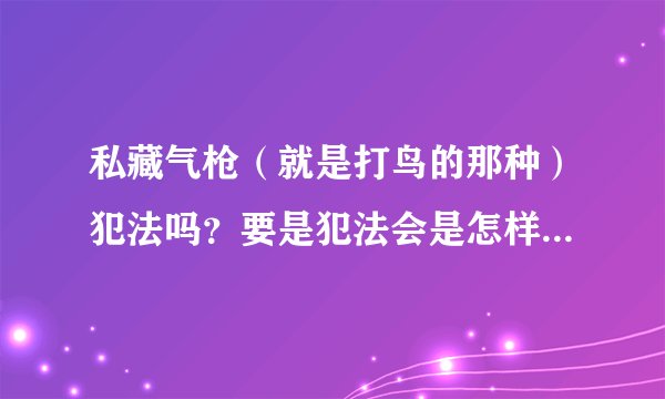 私藏气枪（就是打鸟的那种）犯法吗？要是犯法会是怎样的处罚？