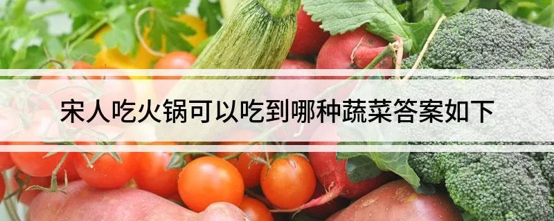 宋人吃火锅可以吃到哪种蔬菜答案如下