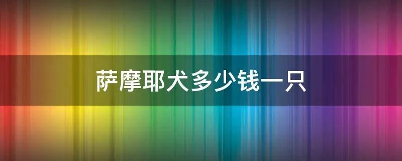 萨摩耶犬多少钱一只