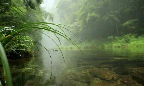 张家界旅游线路景点