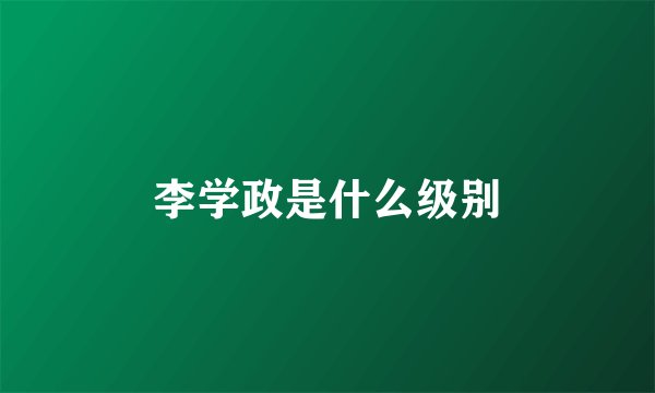 李学政是什么级别