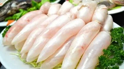 鱼鳔是什么东西