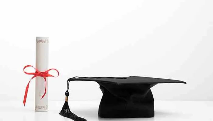 论文怎么写基本结构