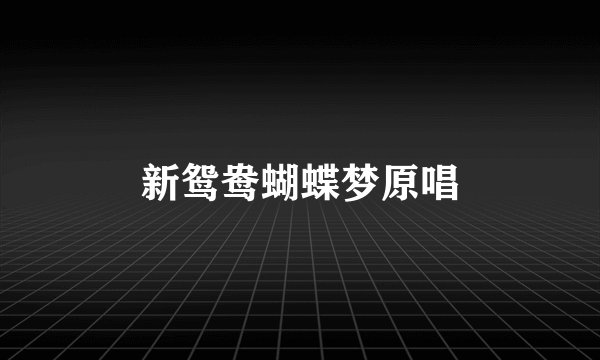 新鸳鸯蝴蝶梦原唱
