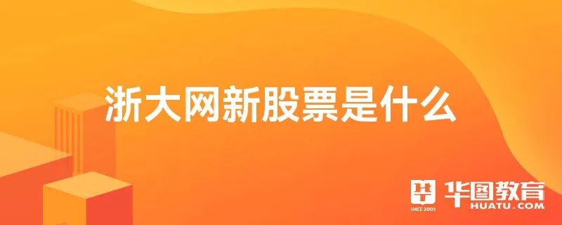 浙大网新股票是什么