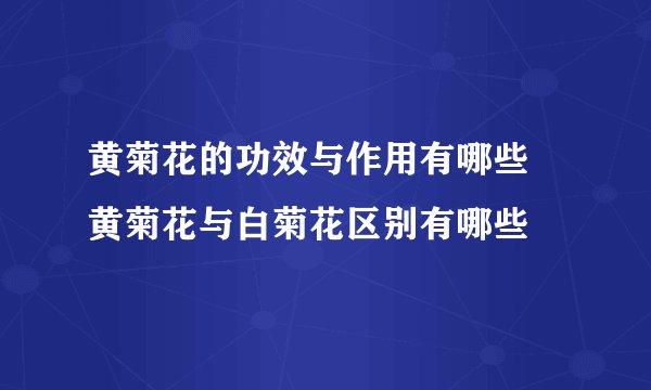 黄菊花的功效与作用有哪些 黄菊花与白菊花区别有哪些