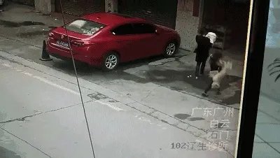 广州一女子被高空掉落的狗砸成重伤你怎么看?