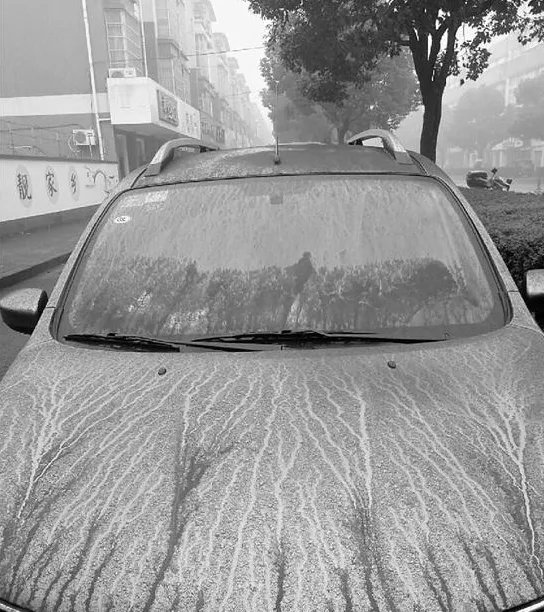 浙江萧山突降黑雨 环保部门称没有危害清洗干净即可