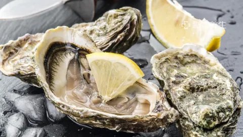 吃生蚝的功效与作用