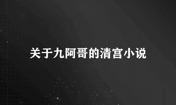 关于九阿哥的清宫小说