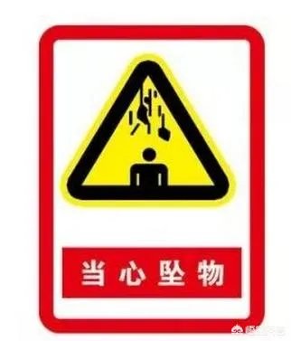 广州一女子被高空掉落的狗砸成重伤你怎么看?