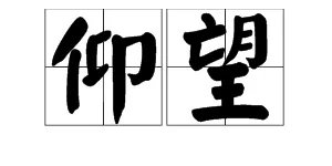 仰望的反义词是什么呢？