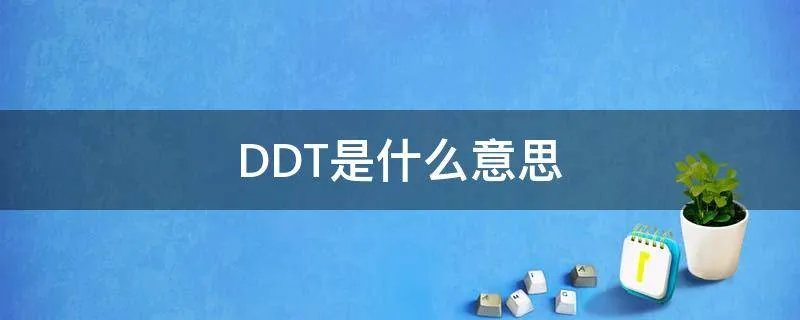 DDT是什么意思