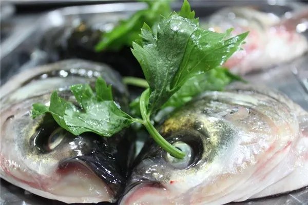 花鲢鱼怎么做好吃 花鲢鱼的做法