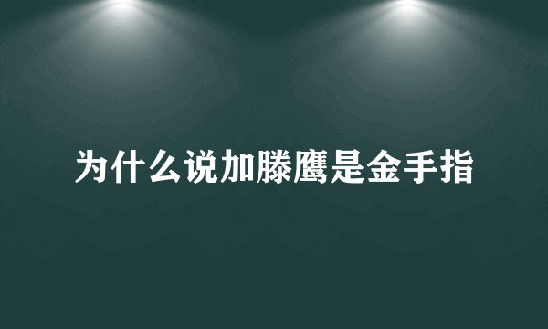 为什么说加滕鹰是金手指